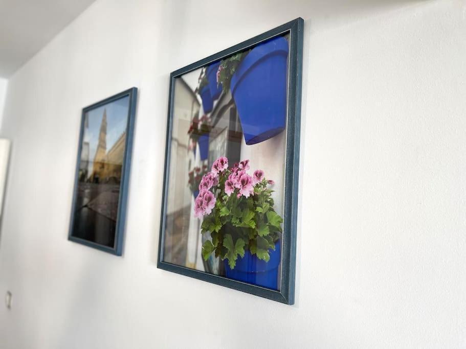 Apartamento Centrico Urbano Con Terraza กอร์โดบา ภายนอก รูปภาพ